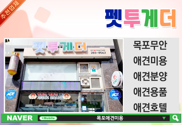펫투게더 이미지